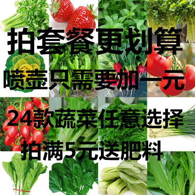 四季播种蔬菜种子