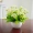 Hoa mô phỏng cây xanh trang trí chậu nhỏ nhà phòng khách trang trí nội thất trang trí máy tính để bàn trang trí hoa mini Milan - Trang trí nội thất tự trang trí phòng ngủ handmade