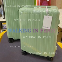 Зеленый бамбук зеленый