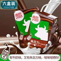Гонконгская версия Vita Chocolate Milk Drink 250 мл*6 коробок шоколадного какао -коров