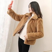 2018 mùa thu và mùa đông mới của Hàn Quốc giả lông thú áo khoác nữ ngắn suede coat slim dày áo khoác sang trọng