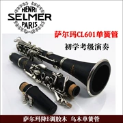 Salma 17 nút B phẳng clarinet Bb clarinet mun mạ bạc R13 - Nhạc cụ phương Tây