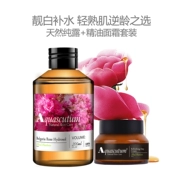 Tinh dầu Yageshidan Hoa hồng nguyên chất kết hợp kem dưỡng ẩm dưỡng ẩm sửa chữa kem dưỡng trắng da - Tinh dầu điều trị