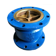 HC41X van một chiều mặt bích dọc thân thép giảm thanh 1 inch rưỡi 2 inch 3 inch 4 inch 5 inch 6 inch 8 inch ưu đãi đặc biệt lắp van 1 chiều cho máy bơm tăng áp