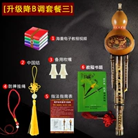 Обновление B -Tuned Set Meal Three