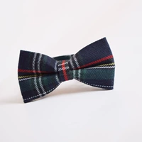 Зеленая сетка галстук