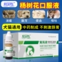 Mubes vật nuôi mèo và chó mèo điều hòa chó cưng và mèo thuốc tiêu hóa để điều trị cúm tiêu chảy đặc biệt hộp chất lỏng bằng miệng - Cat / Dog Medical Supplies Dụng cụ phòng khám thú y