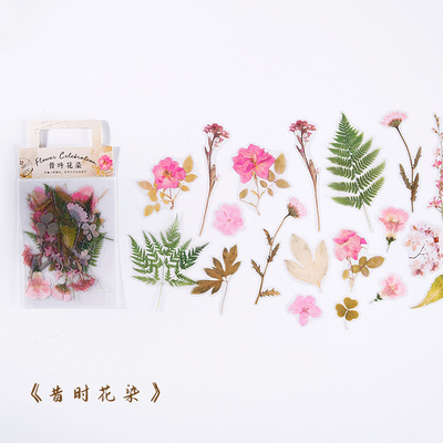 Past Huaran (20 Patterns, 2 Each)Muran Sticker package a wide field since depths series PET Botany flowers and plants Hand account source material Decorative stickers 40 Mei Jin