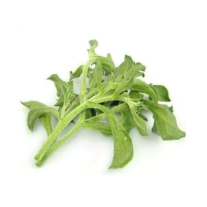 Ice Grass 200g