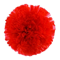 Красное большое кольцо