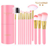 12 pink gold tube tube brushes