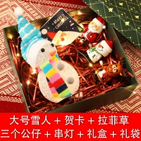Guangguang Snowman Walking Doll Green Gift Box