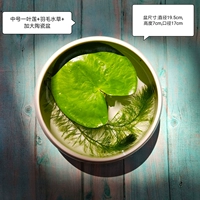 Середина -NO. 1 Lotus+Peather+Ceramics Pot