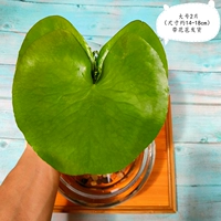 Дать две части двух частей в больших двух-4 штук