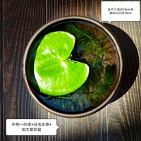 Середина -NO. 1 Лотос+Перо+Zisha Pot