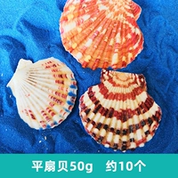 Около 10 плоских гребешков 50 г