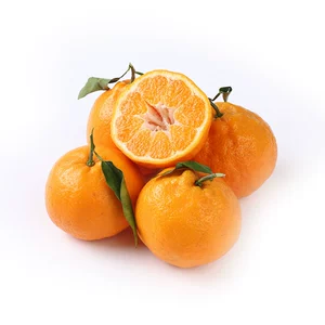 【Без раздражения】Shiranui Ugly Orange 4 капсулы 920г