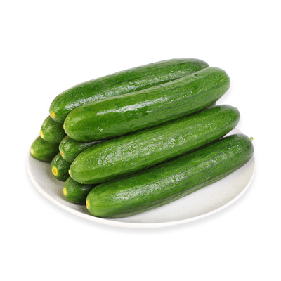 [小青瓜(高山菜)400g/份]