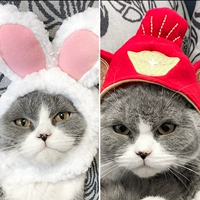 Маленький белый кролик+богатство бог шляпа