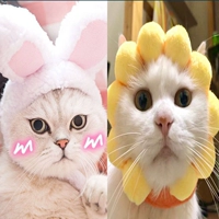 Маленький белый кролик+подсолнечный шляпа