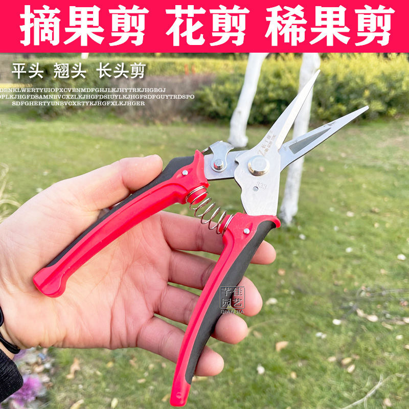 Sasakita 333 Fruit Picking Scissorsrare fruit repair Fruit scissors Sato wood Fruit picking scissors Grape Pruning special-purpose scissors sparse flower sparse fruit Scissors pick tool