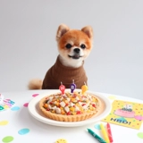 Кокоба Корейская ручная работа 4 -День рождения собачья торт для питомца Кэт использует ручную аватарную закуски на заказ пиццы