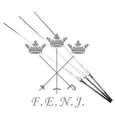 рапира Электрические Sabre меч, фехтование соревнования