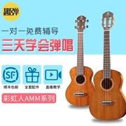 Nhạc cụ vui nhộn ukulele cầu vồng người AMM loạt ukulele 23 màu đen cao cấp kelly guitar nhỏ - Nhạc cụ phương Tây