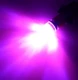 Bubble Burst Flash Pink
