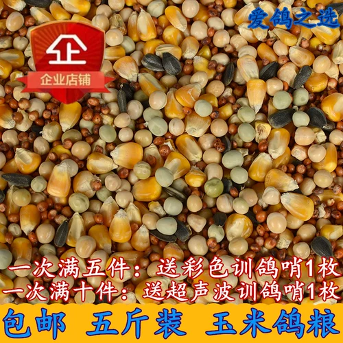 Бесплатная доставка 5 фунтов голубей Feihong с кукурузным голубным пищей, летающим питательным кормом, птичьей пищи, голубя для наблюдения