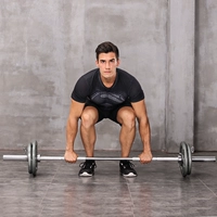 Пекарня штанга Set Fitness House Большой пор штанга из шарнира варварка шар