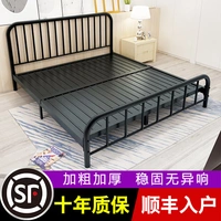 Железная кровать с двуспальной кровать