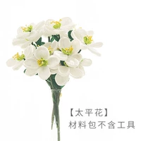 [TaipingHua] Пакет материалов не включает инструменты