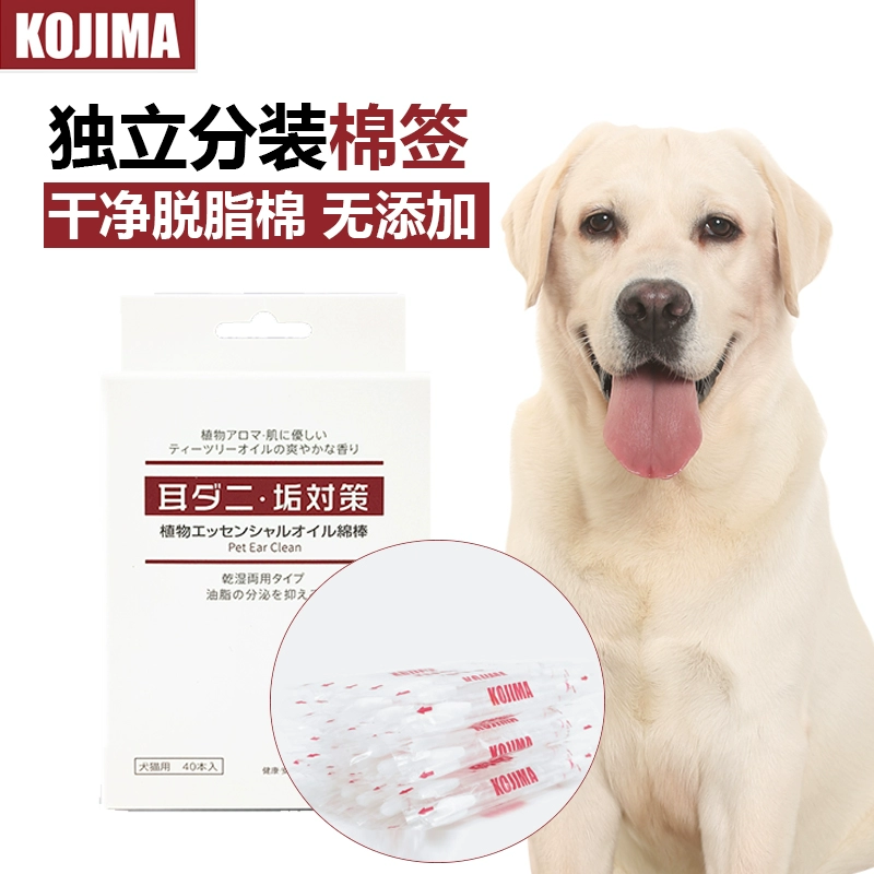 Tinh dầu thú cưng Kojima tăm bông chống ve tai que làm sạch tai 40 nước rửa tai cho chó mèo giọt nước cung cấp chất lỏng cho tai - Cat / Dog Beauty & Cleaning Supplies