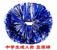 Студенческая модель средней школы Blue смешанное серебро