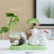 Sp-Love Rabbit+стеклянная бутылка