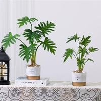 Скандинавская лампа для растений для гостиной, брендовое украшение для ногтей, настольный маленький горшок для офиса