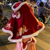 Новый цвет!Wine Red Tiger Cape (средний) размер выбирает другие