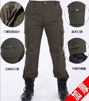 Саржа из чистого хлопка, утолщенная, 206 модели.