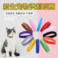 Кольцо для узнавания новорожденных кольца щенка, кошка различает, чтобы отличить воротник котенка для латтинга, пояс логотипа веревки.