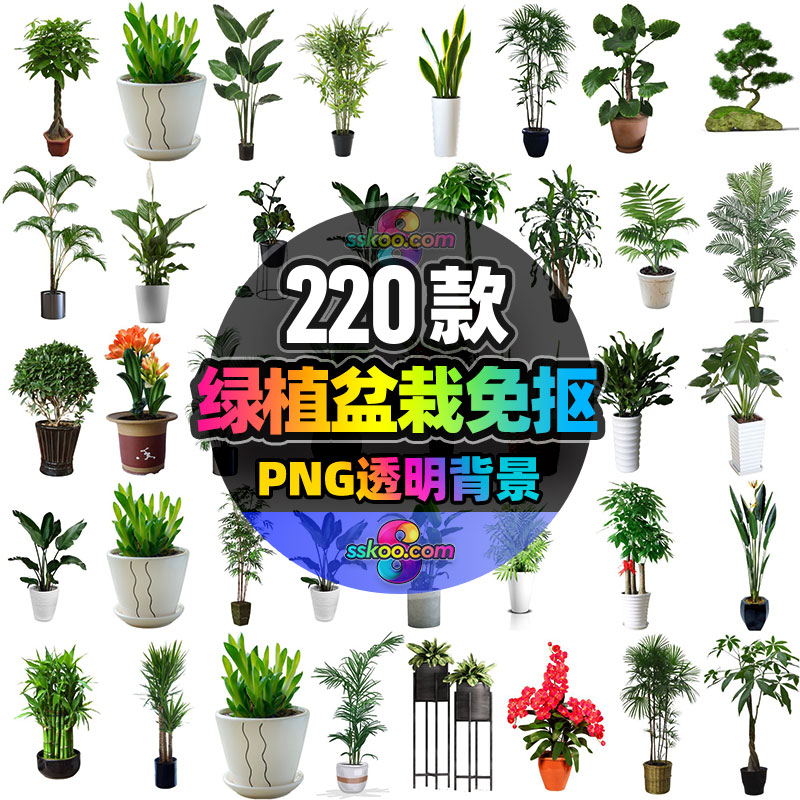 盆栽盆景景观绿植花草植物PNG免抠元素图片照片PS平面设计素材
