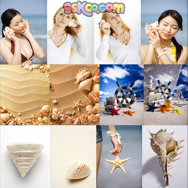 贝壳海螺海滩沙滩插图照片风景壁纸高清4K摄影图片设计背景素材