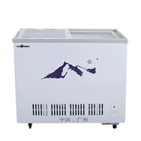 Sui Ling WD-210X tủ trưng bày ngang tủ đông nhiệt độ duy nhất tủ lạnh chuyển đổi tủ đông tủ đông thương mại hộ gia đình - Tủ đông tủ bia hơi