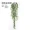 Cây mô phỏng cây xanh tường hoa cắm tường trang trí tường trong nhà hoa giả hoa màu xanh lá cây mô phỏng - Hoa nhân tạo / Cây / Trái cây