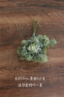 13#mini money Leaf One Beam