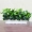 Cây mô phỏng hoa giả và cây nhựa xanh củ cải phòng khách nội thất nhà vườn trang trí chậu giả cây xanh trang trí cây cảnh - Hoa nhân tạo / Cây / Trái cây giả hạc đột biến