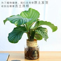 Зеленая яблочная церковь