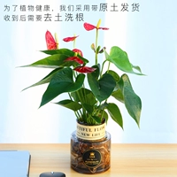 Красная ладонь