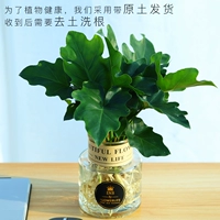 Весеннее перо