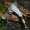 Công cụ hoang dã tự vệ cầm tay độ cứng cao cầm dao thẳng tay rèn dao ngoài trời dao hoang dã sống sót - Công cụ Knift / công cụ đa mục đích